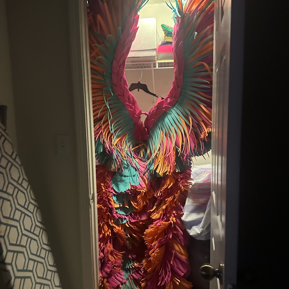 Colorful Feathered Costume